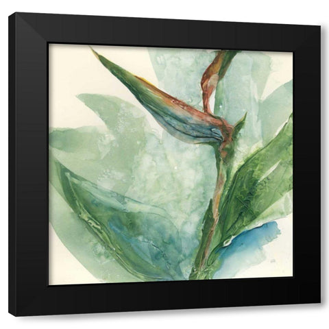 Exotic Flower III Black Modern Wood Framed Art Print by Paschke, Chris
