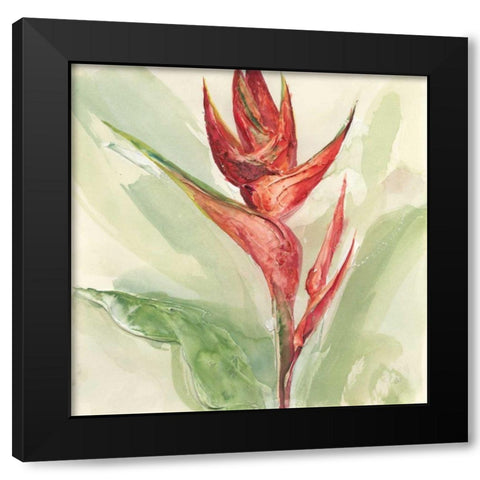 Exotic Flower IV Black Modern Wood Framed Art Print with Double Matting by Paschke, Chris