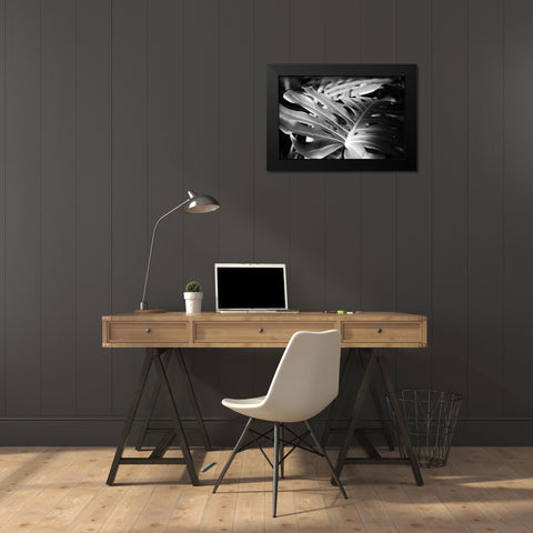 Philodendron Black Modern Wood Framed Art Print by Marshall, Laura