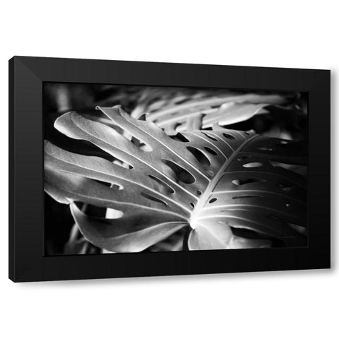 Philodendron Black Modern Wood Framed Art Print with Double Matting by Marshall, Laura