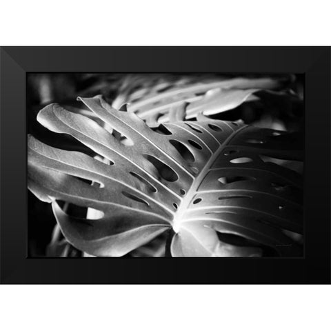 Philodendron Black Modern Wood Framed Art Print by Marshall, Laura