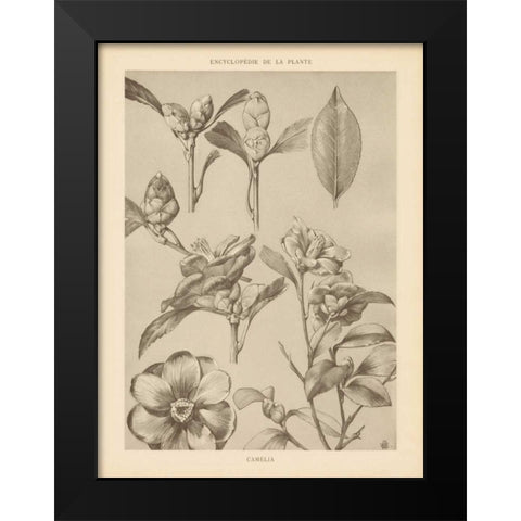 Lithograph Florals II Black Modern Wood Framed Art Print by Wild Apple Portfolio