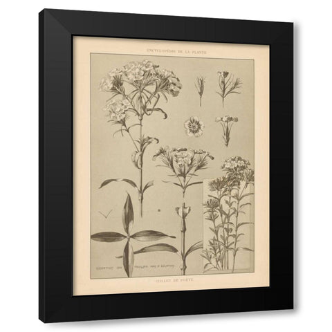 Lithograph Florals III Black Modern Wood Framed Art Print by Wild Apple Portfolio
