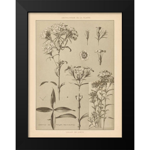 Lithograph Florals III Black Modern Wood Framed Art Print by Wild Apple Portfolio