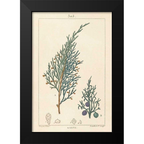 Sabine Drawing Black Modern Wood Framed Art Print by Wild Apple Portfolio