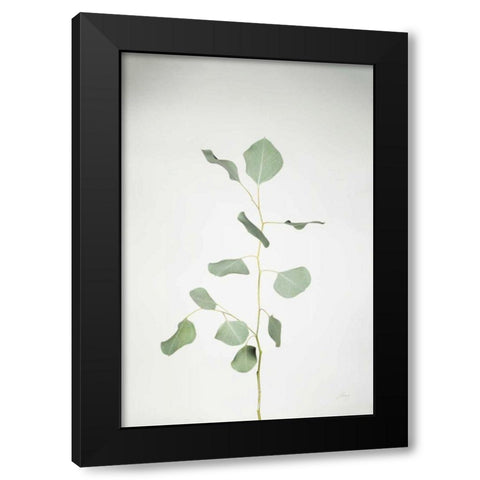 Simple Stems I Black Modern Wood Framed Art Print by Bradley, Felicity