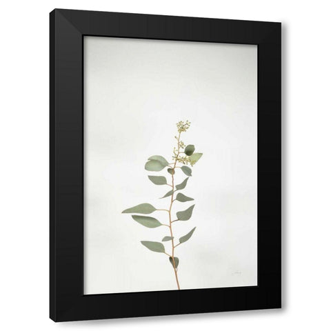 Simple Stems II Black Modern Wood Framed Art Print by Bradley, Felicity