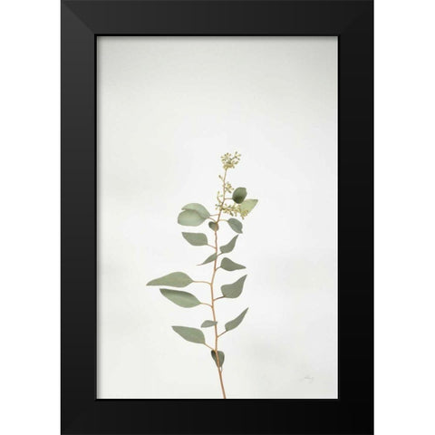 Simple Stems II Black Modern Wood Framed Art Print by Bradley, Felicity