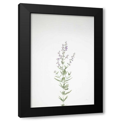 Simple Stems III Black Modern Wood Framed Art Print by Bradley, Felicity