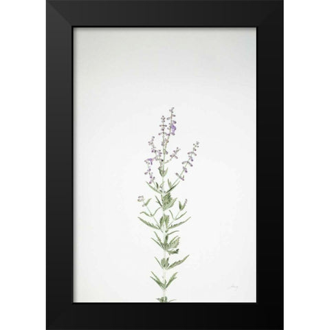 Simple Stems III Black Modern Wood Framed Art Print by Bradley, Felicity