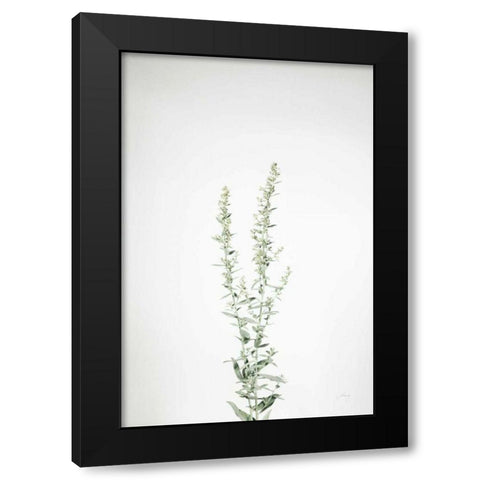 Simple Stems IV Black Modern Wood Framed Art Print by Bradley, Felicity
