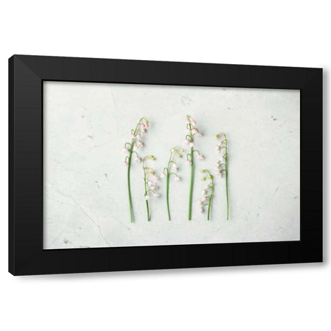 May Bell Blooms Black Modern Wood Framed Art Print with Double Matting by Bradley, Felicity
