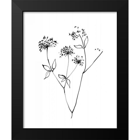 Ink Flowers 09 on White Black Modern Wood Framed Art Print by Tillmon, Avery