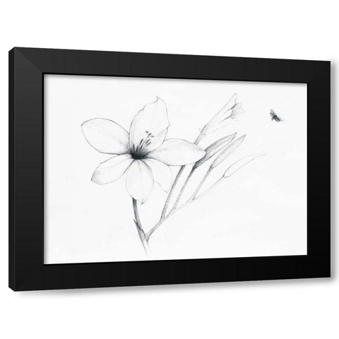 Graphite Floral II Black Modern Wood Framed Art Print by Tillmon, Avery