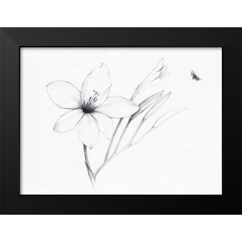 Graphite Floral II Black Modern Wood Framed Art Print by Tillmon, Avery