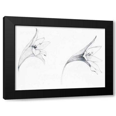 Graphite Floral VI Black Modern Wood Framed Art Print by Tillmon, Avery