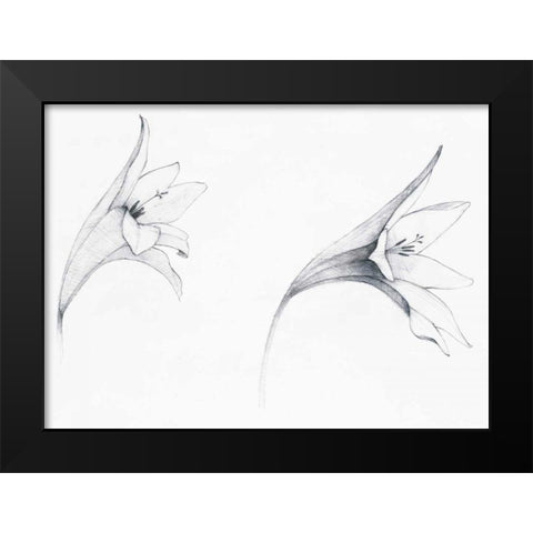 Graphite Floral VI Black Modern Wood Framed Art Print by Tillmon, Avery