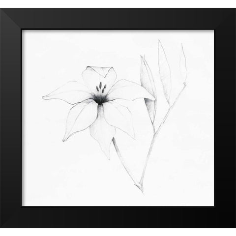 Graphite Floral V Black Modern Wood Framed Art Print by Tillmon, Avery