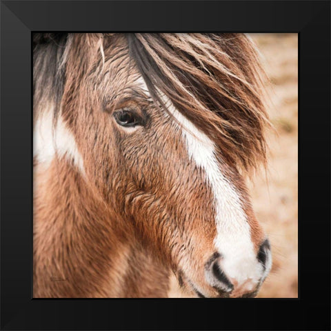 Elska III Black Modern Wood Framed Art Print by Marshall, Laura