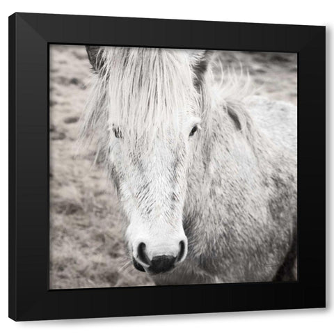 Heida IV BW Black Modern Wood Framed Art Print with Double Matting by Marshall, Laura