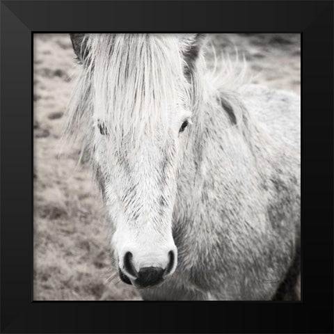 Heida IV BW Black Modern Wood Framed Art Print by Marshall, Laura