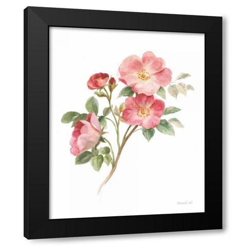 Sprigs of Summer II on White Black Modern Wood Framed Art Print with Double Matting by Nai, Danhui