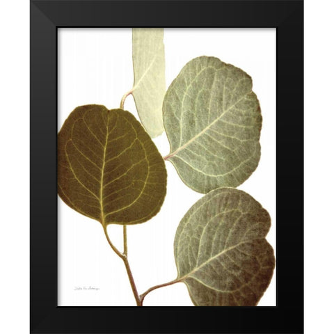 Eucalyptus Color on White Black Modern Wood Framed Art Print by Van Swearingen, Debra