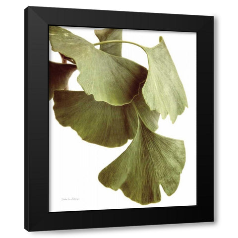 Ginko Color on White Black Modern Wood Framed Art Print with Double Matting by Van Swearingen, Debra