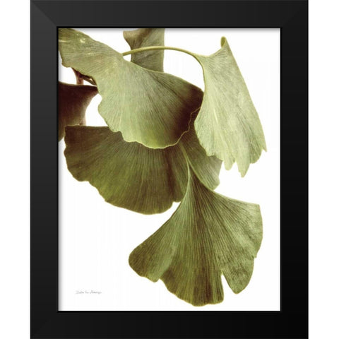 Ginko Color on White Black Modern Wood Framed Art Print by Van Swearingen, Debra