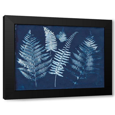 Nature By The Lake - Ferns I Black Modern Wood Framed Art Print by Rhue, Piper