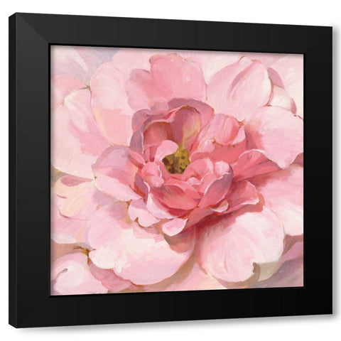 Blushing Peony Black Modern Wood Framed Art Print with Double Matting by Nai, Danhui