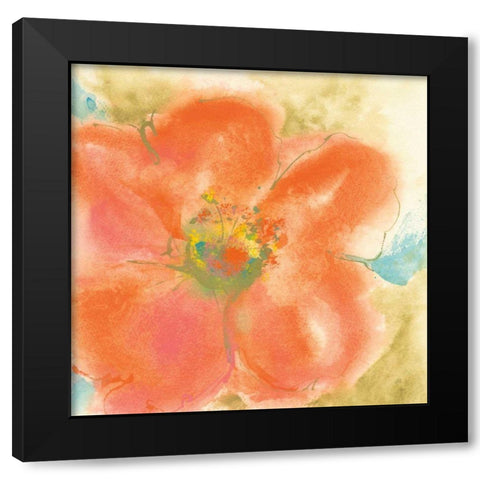 Coral Poppy II Black Modern Wood Framed Art Print by Paschke, Chris