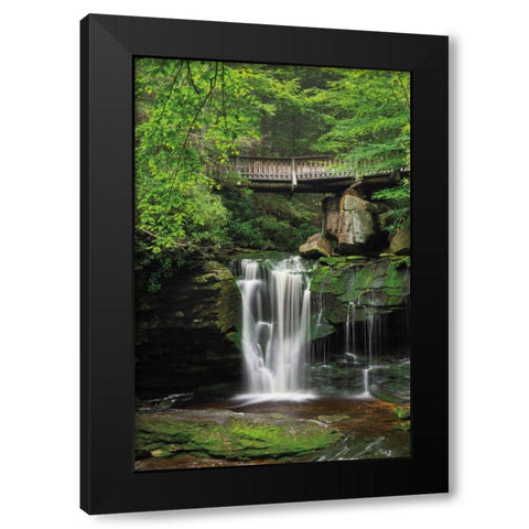 Elakala Falls West II Black Modern Wood Framed Art Print by Majchrowicz, Alan