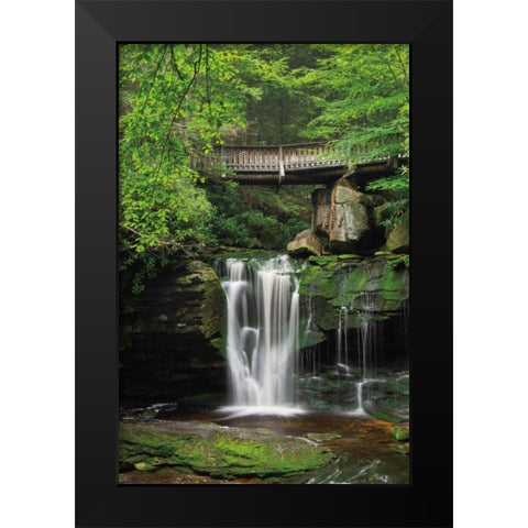 Elakala Falls West II Black Modern Wood Framed Art Print by Majchrowicz, Alan