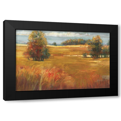 October Light Black Modern Wood Framed Art Print by Rowan, Carol