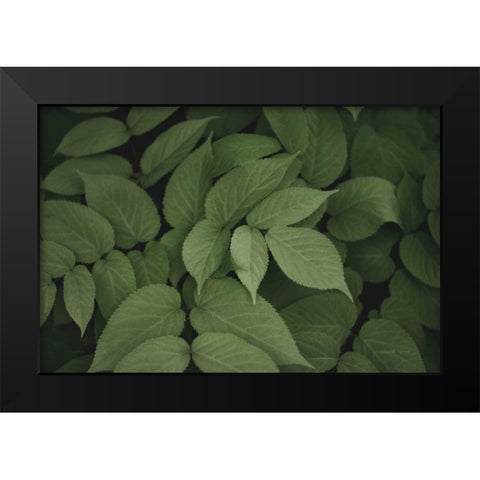Leafy I Black Modern Wood Framed Art Print by Urquhart, Elizabeth