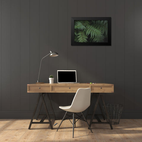Leafy V Black Modern Wood Framed Art Print by Urquhart, Elizabeth