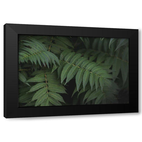 Leafy V Black Modern Wood Framed Art Print with Double Matting by Urquhart, Elizabeth