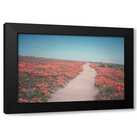 California Blooms IV Black Modern Wood Framed Art Print with Double Matting by Urquhart, Elizabeth
