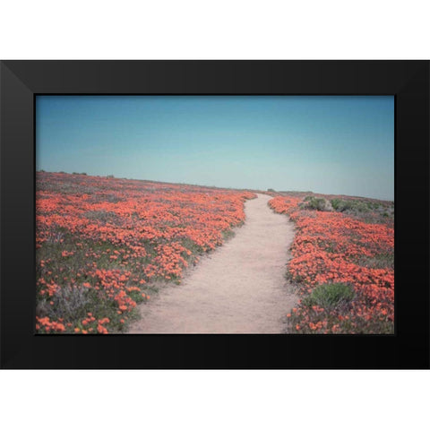 California Blooms IV Black Modern Wood Framed Art Print by Urquhart, Elizabeth