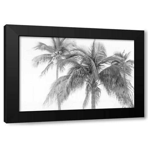 Breezy IV Black Modern Wood Framed Art Print with Double Matting by Urquhart, Elizabeth