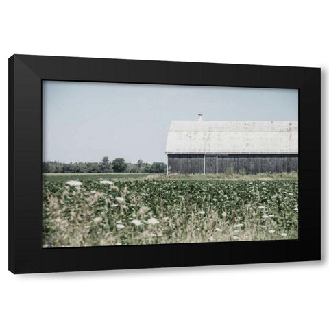 Weathered I Black Modern Wood Framed Art Print with Double Matting by Urquhart, Elizabeth