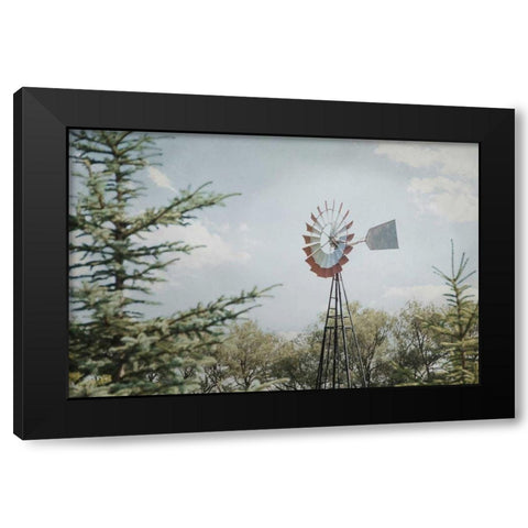 Sun Drenched I Black Modern Wood Framed Art Print by Urquhart, Elizabeth