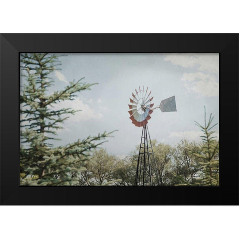 Sun Drenched I Black Modern Wood Framed Art Print by Urquhart, Elizabeth