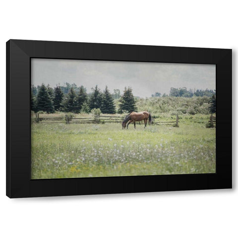 Sun Drenched II Black Modern Wood Framed Art Print with Double Matting by Urquhart, Elizabeth