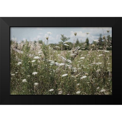 Sun Drenched III Black Modern Wood Framed Art Print by Urquhart, Elizabeth