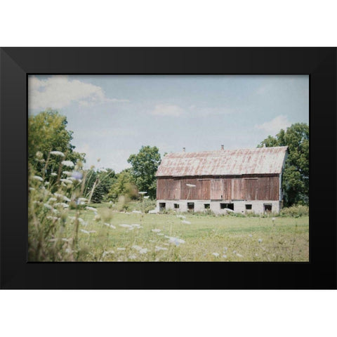 Sun Drenched IV Black Modern Wood Framed Art Print by Urquhart, Elizabeth