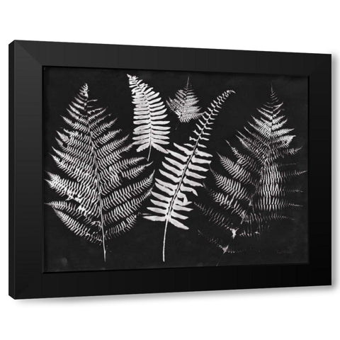 Nature by the Lake Ferns I Black Crop Black Modern Wood Framed Art Print with Double Matting by Rhue, Piper