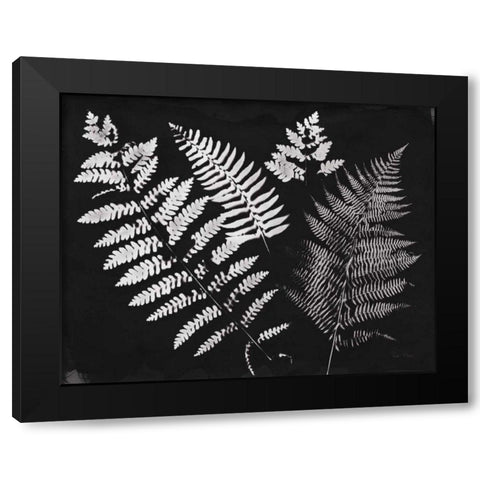 Nature by the Lake Ferns II Black Crop Black Modern Wood Framed Art Print with Double Matting by Rhue, Piper