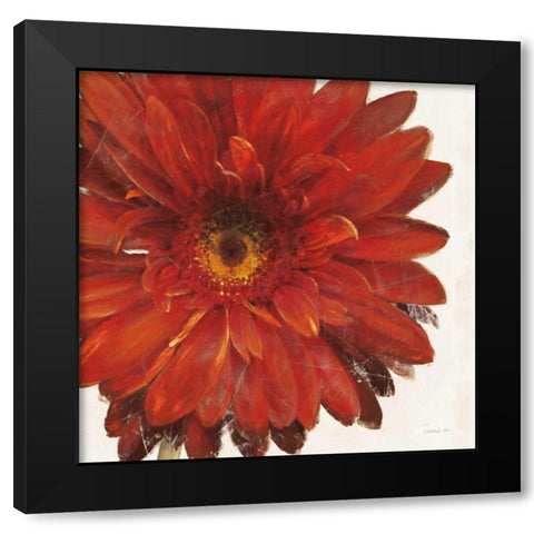 Vivid Daisy Dark Red Crop Black Modern Wood Framed Art Print with Double Matting by Nai, Danhui